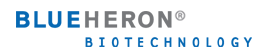 Blueheron