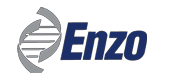 Enzo_logo