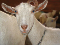 Biz5_clip_image001 Biz5_clip_image001