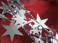 Holiday_stars Holiday_stars