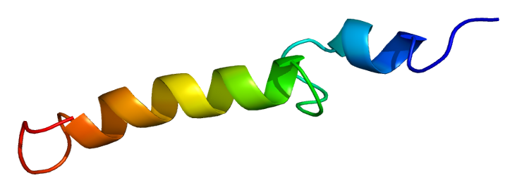 Parathyroid hormone