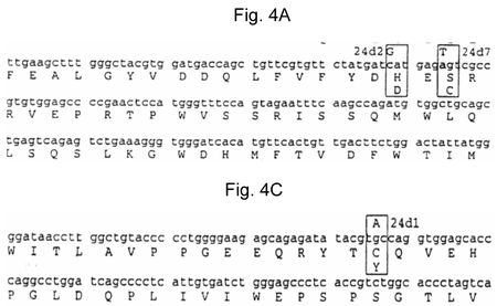 FIG4