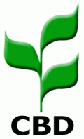 CBD
