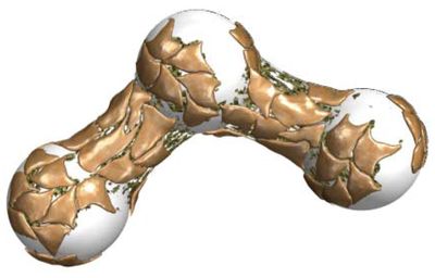 Bead - Three-Dimension