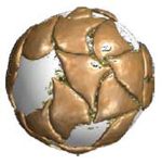 Bead - Two-Dimension